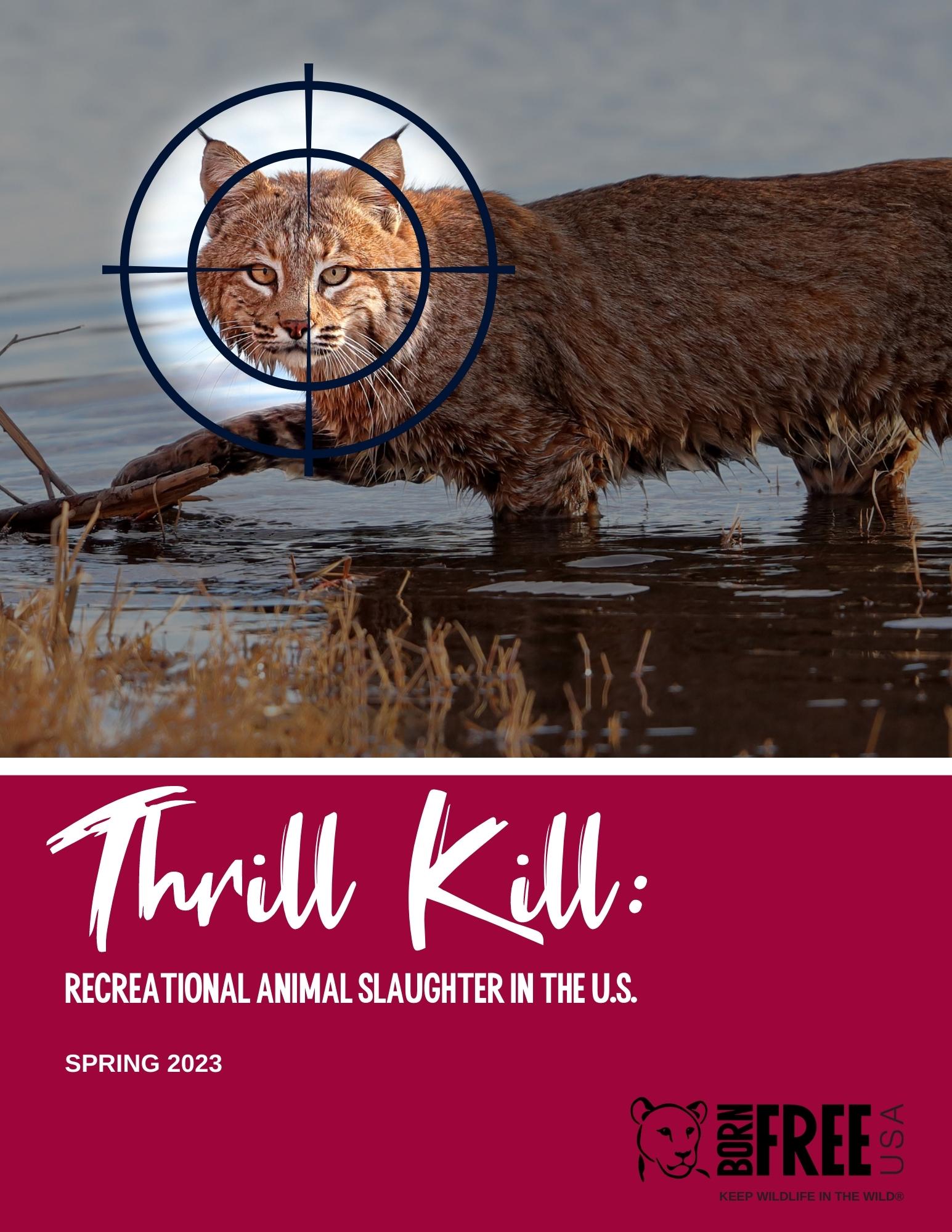 Thrill Kill Cover Art