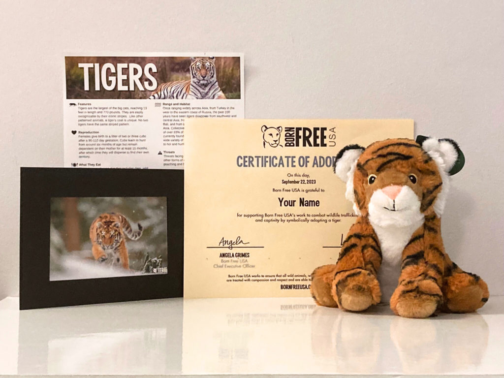 Tiger Adoption Package