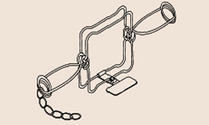 Drawing of a conibear trap