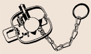 Drawing of a steel-jaw leg hold trap