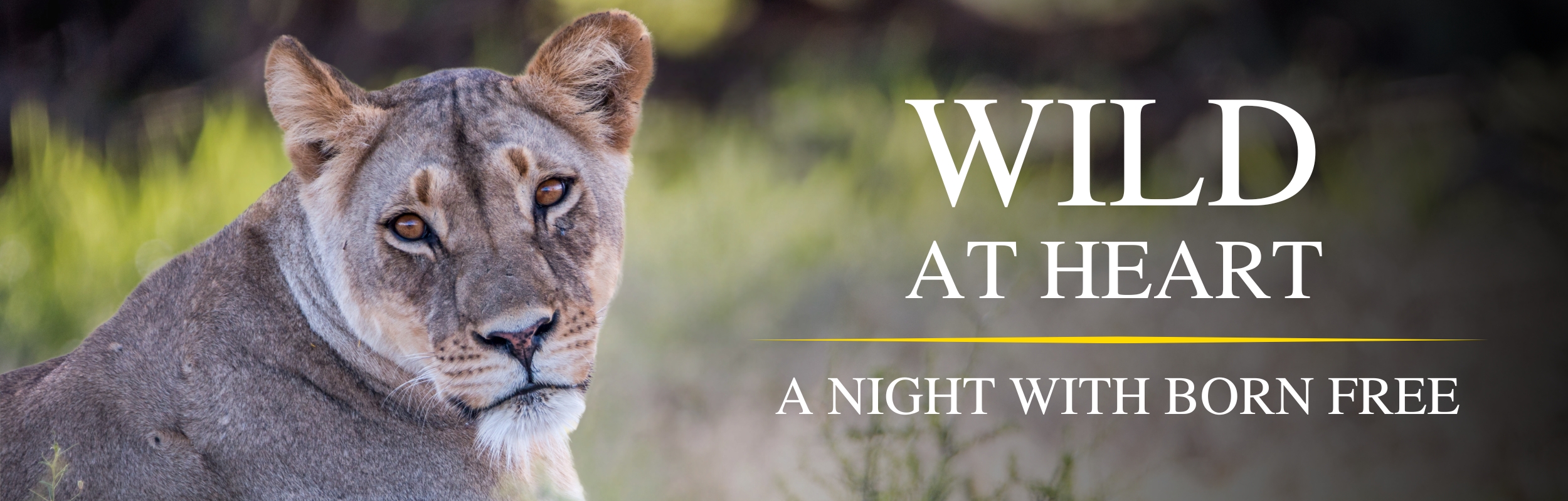 Wild at Heart: A Night with Born Free