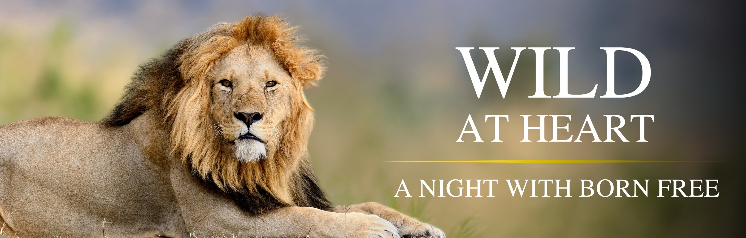Wild at Heart: A Night with Born Free