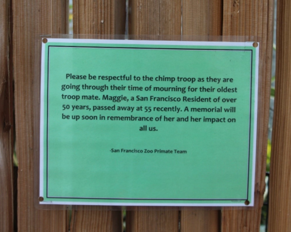 Signage at the San Francisco Zoo